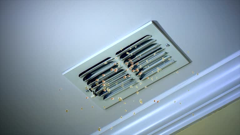 Best Affordable Air Duct Cleaning  in Elliston, VA